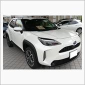 自動駐車場入れを体験しました！