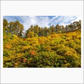 紅葉と桃洞滝（とうどうのたき ...