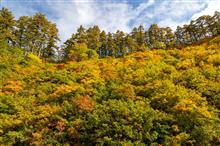 紅葉と桃洞滝（とうどうのたき）【前編】 October 11, 2020