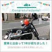 愛車と出会って1年！