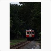 花咲くひたち海浜公園号とキハ ...