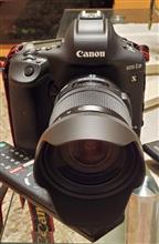 EOS-1DX Mark III退院♪