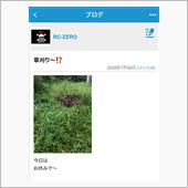 自分用のブログ‼️
