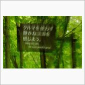 湯治で東北へ②　奥入瀬渓流　 ...
