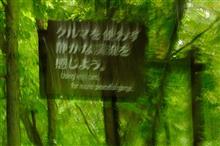 湯治で東北へ② 奥入瀬渓流 (2020 .9) 湯治で東北へ② 奥入瀬渓流 (2020 .9)