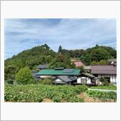 【更級の奥地に踏み込め❗️④ ...