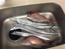 20201011 伊勢湾のうたせ真鯛釣り 台風の中? 20201011 伊勢湾のうたせ真鯛釣り 台風の中?