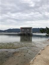 【宮島】厳島神社に行きました！