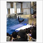 また水族館かい😅