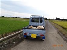 つやと粘りに自信🐜米の王様