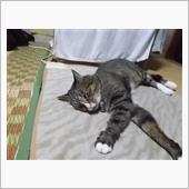 う～～～ん、食べたいね。