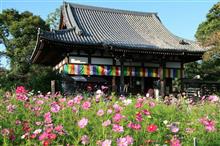 高山竹林園〜般若寺