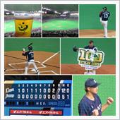 野球観戦（北海道日本ハムvs ...