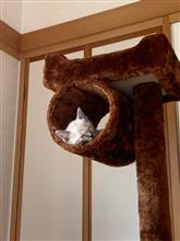 生傷が絶えません(๑˃̵ᴗ˂̵) 癒されてま〜す