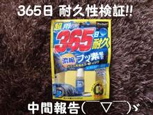ダンク耐久クイックパッド（プロスタッフ）365日耐久性検証!!...中間報告(￣▽￣)ゞ