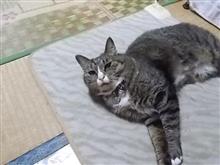 来たよ、、、、