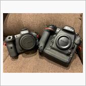 D5とR5　【写真大量】