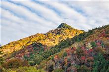 2020紅葉狩り③-3 林道Y沢線