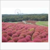 2020.10.13〜14  ...