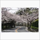 【2020年3月〜4月】いよ ...