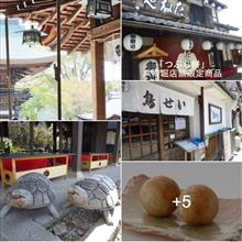 京都市伏見桃山&quot;鳥せい“でランチ＆事件「寺田屋」茶道と禅の宇治 &quot;平等院&quot; へ
