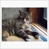 今日は、これで。（＾＾）