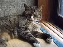 今日は、これで。（＾＾）