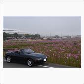 &#39;20.10.21 -2 夢 ...
