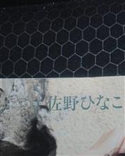 週刊文春に佐野ひなこ