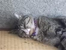 今日のプログ、もう一回。（＾＾）