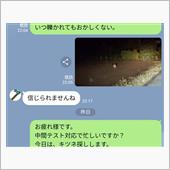 イトコとのキツネ探しは叶わす…
