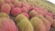 『ちょっくら茨城』コロナ事情の巻