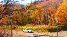 紅葉を見ながら廃線跡巡り（白糠線）