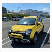 Fiat PANDA Cro ...