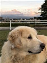 朝はすっかり寒くなった