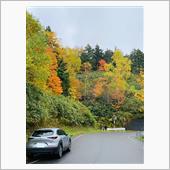 【万座道路の紅葉狩り🍁②】 ...