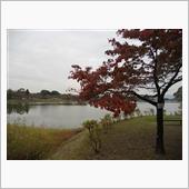 駕与丁公園散策