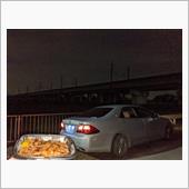 キツネ寝不足…4時間半睡眠が ...
