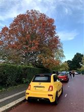 ロンドン北部 Regent’s Park までプチドライブ〜 ロンドン北部 Regent’s Park までプチドライブ〜