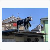 Discover近所(笑)