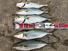 釣り場大興奮