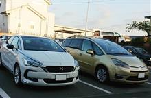 一か月での印象