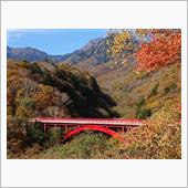秋の高原と紅葉を求めて長野・ ...