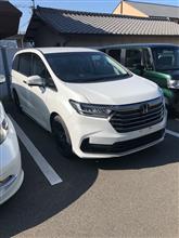 初めて見たよ　マイナーオデッセイ