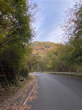 ルーチン（360&#176;カメラ）