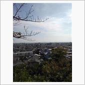 本日は
