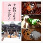 令和二年十一月『生命の言葉』 ...