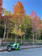 紅葉狩りツーリング2020 -GPZ900R- 紅葉狩りツーリング2020 -GPZ900R-