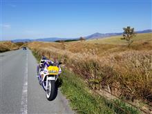 今日はとても良い気温でしたね～!(^^)!なのでロス君とツーリングでした！