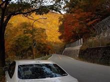 紅葉ドライブ